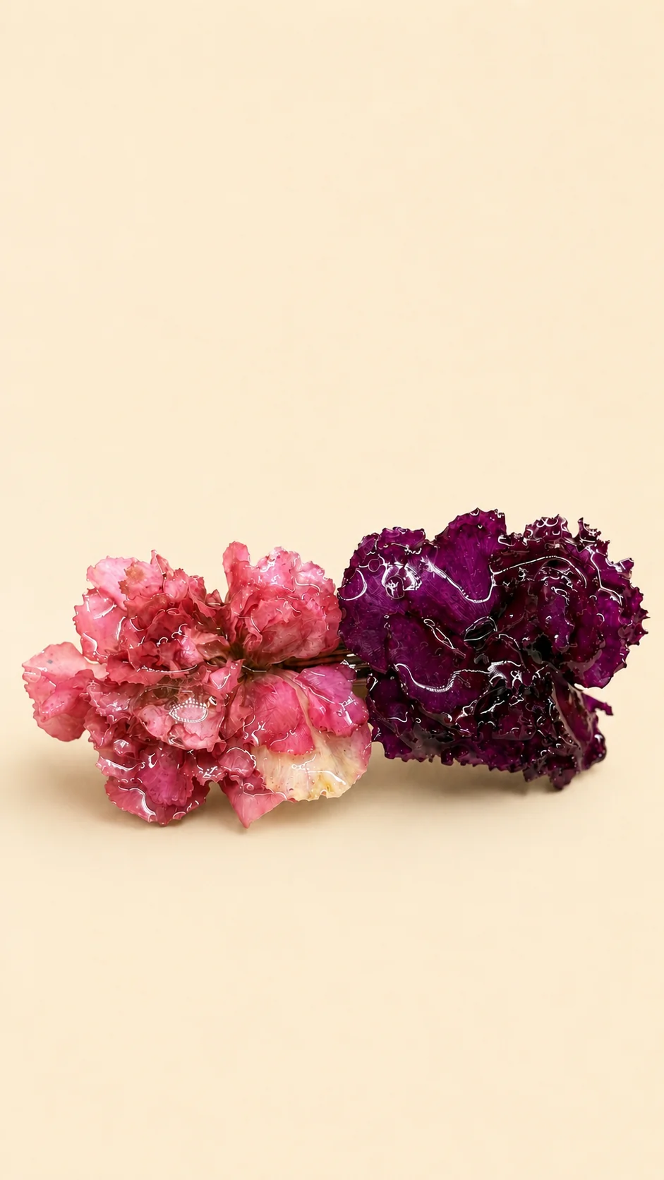 Pinza Clavel Rosée